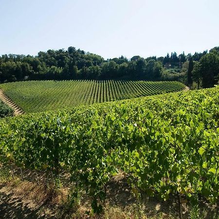 Stunning Country House Overlooking Tuscany Hills Lorenzana المظهر الخارجي الصورة