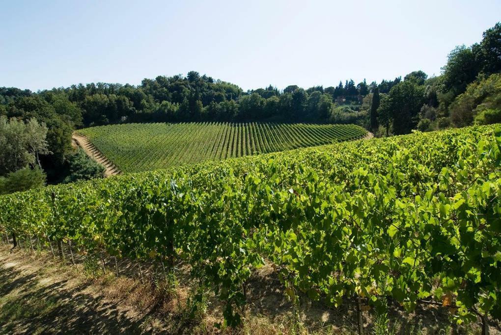 Stunning Country House Overlooking Tuscany Hills Lorenzana المظهر الخارجي الصورة