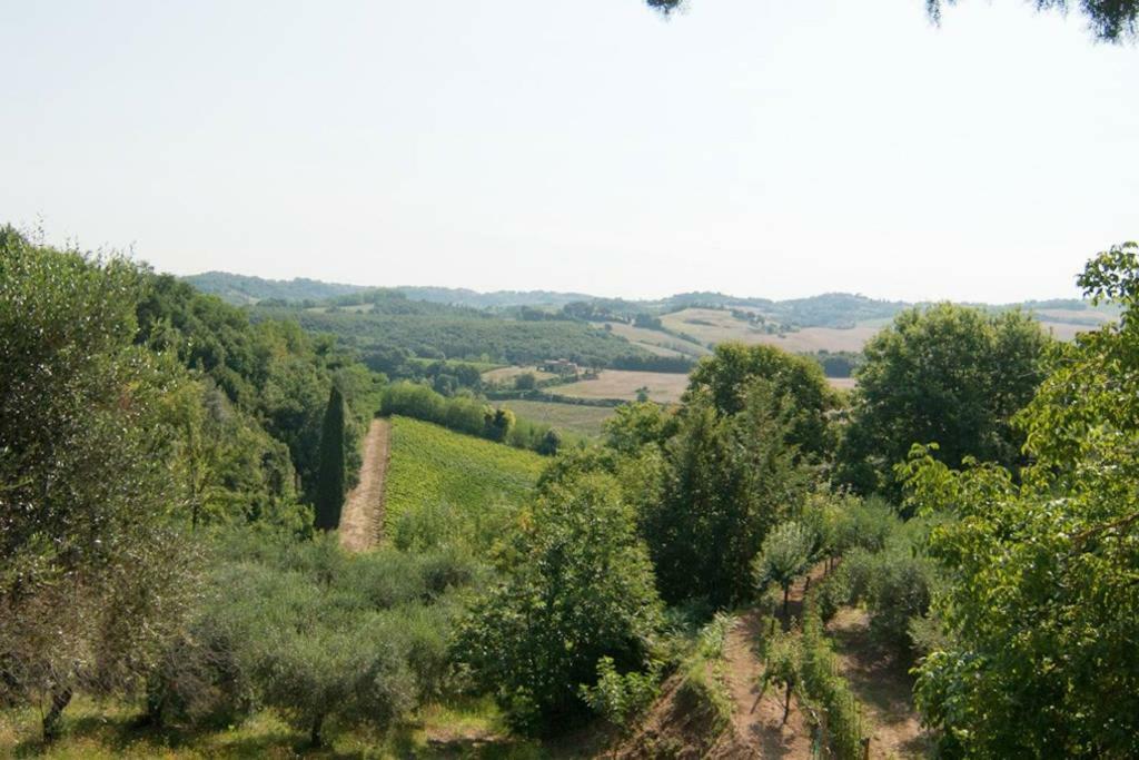 Stunning Country House Overlooking Tuscany Hills Lorenzana المظهر الخارجي الصورة